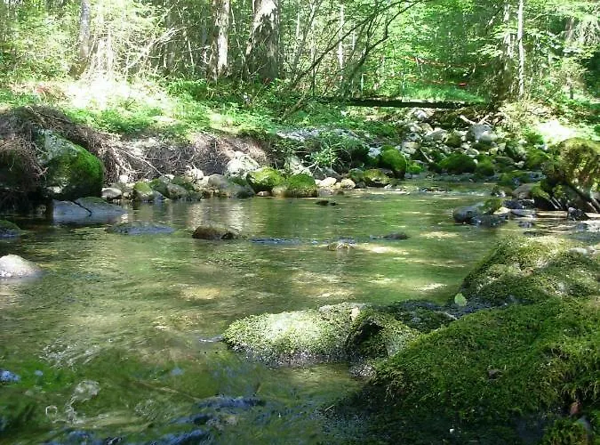 Weideblick * Tauplitz