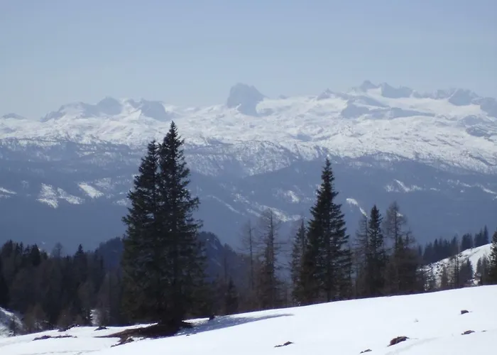 Weideblick * Tauplitz
